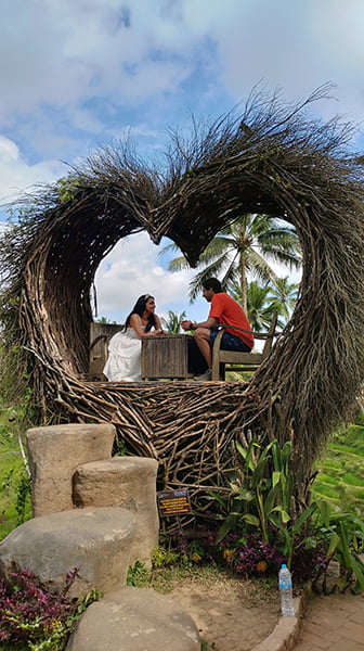 Bali nests