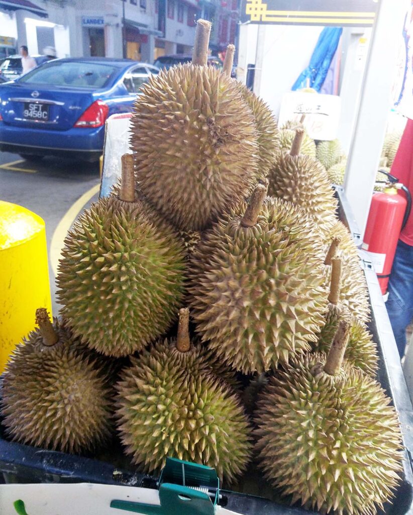 durian national fruit